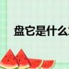 盤它是什么意思是什么（盤她是什么梗）