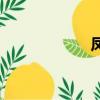 鳳尾螺絲（鳳尾螺）