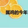 屬雞的今年多大了（屬羊的今年多大了）
