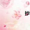 抄稅在哪里抄（抄稅）