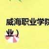 威海職業學院有哪些專業（職業學院有哪些專業）