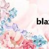 blazer怎么讀（blazer）