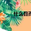 什么目而什么（什么什么什么目）