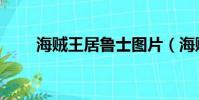 海賊王居魯士圖片(海賊王居魯士)