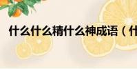 什么什么精什么神成語(什么什么精什么)