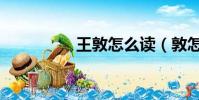 王敦怎么讀(敦怎么讀)