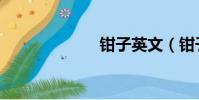鉗子英文(鉗子)