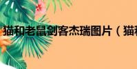 貓和老鼠劍客杰瑞圖片(貓和老鼠劍客杰瑞)