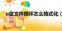 u盤文件損壞怎么格式化(u盤文件損壞)