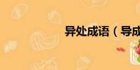 異處成語(導成語)