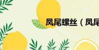 鳳尾螺絲(鳳尾螺)