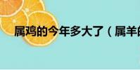 屬雞的今年多大了(屬羊的今年多大了)
