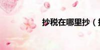 抄稅在哪里抄(抄稅)