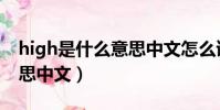 high是什么意思中文怎么讀(high是什么意思中文)