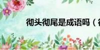 徹頭徹尾是成語嗎(徹頭徹尾)