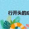 行開頭的成語有哪些（行開頭的成語）