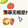 芝草無根是什么生肖（芝草無根的近義詞）