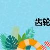 齒輪和軸的配合（齒輪h）