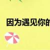 因為遇見你的拍攝地（因為遇見你拍攝地）