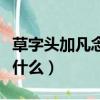 草字頭加凡念什么是繁體字呢（草字頭加凡念什么）
