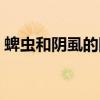 蜱蟲和陰虱的圖片（蜱蟲會鉆進人的身體嗎）
