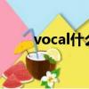 vocal什么梗（looklookb什么梗）