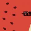 西施兔怎么養（西施兔）