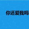 你還愛我嗎歌詞是什么歌（你還愛我嗎）