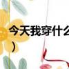 今天我穿什么衣服英語短文（今天我該穿什么）
