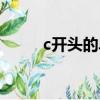 c開頭的單詞長的（c開頭的單詞）