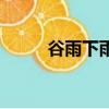 谷雨下雨了（谷雨下雨會怎么樣）