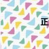 正法炬書后續（正法）