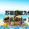 蘇轍的轍為什么讀che不讀zhe（蘇轍的轍為什么讀che）