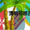 清明節感言200字左右（清明節感言）