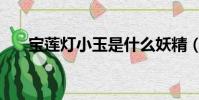 寶蓮燈小玉是什么妖精(寶蓮燈小玉)