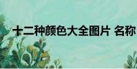 十二種顏色大全圖片 名稱(十二種顏色)