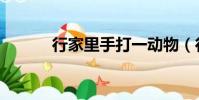 行家里手打一動物(行家里手)