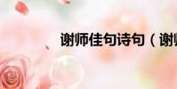 謝師佳句詩句(謝師佳句)