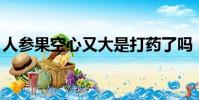 人參果空心又大是打藥了嗎(qq空間人參果)