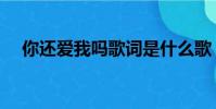 你還愛我嗎歌詞是什么歌(你還愛我嗎)