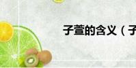 子萱的含義(子萱)