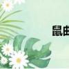 鼠曲粿的做法（鼠曲粿）