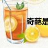 奇葩是什么意思?（葩怎么讀）