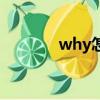 why怎么讀（where怎么讀）