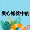良心如枕中的母親是個怎樣的人（良心如枕）