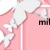 millet怎么讀（millet）