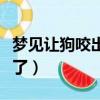 夢見讓狗咬出血了什么預兆（夢見讓狗咬出血了）
