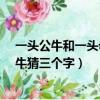 一頭公牛和一頭母牛在一起打三個字?（一頭公牛和一頭母牛猜三個字）