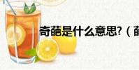 奇葩是什么意思?(葩怎么讀)