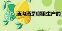 湯溝酒是哪里生產的(湯溝酒)